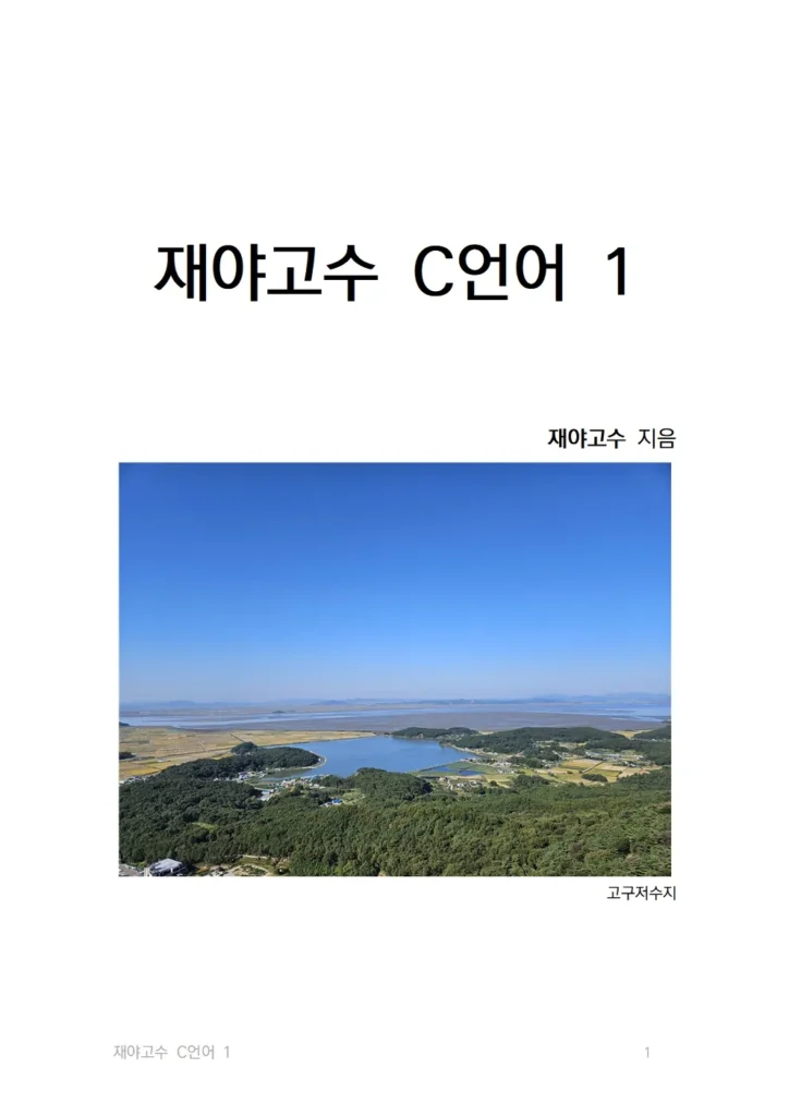 "재야고수 C언어 1" 표지