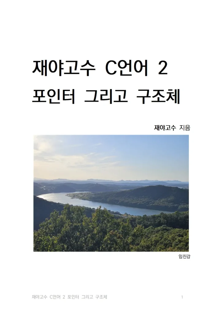 “재야고수 C언어 2 포인터 그리고 구조체” 표지